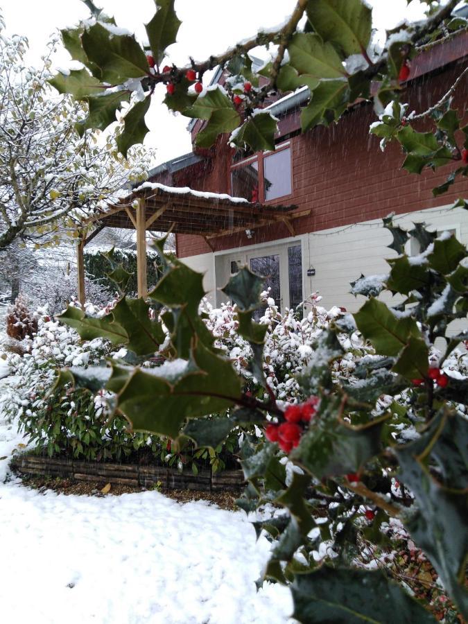Chalet La Bachole Charancieu Экстерьер фото